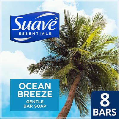 Dr. Squatch Bay Rum Natural Bar Soap, 5 oz - Ralphs