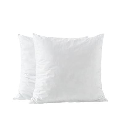 28x28 Euro Pillow