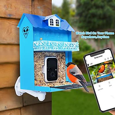 Smart Bird Feeder with Camera, Netvue Birdfy Bird Watching Camera Gift for  Parents and Bird Lover, Blue (Free AI) 