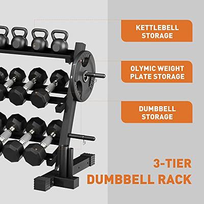 Dumbbells & Weight Plates