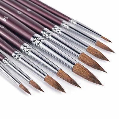 12 Pcs Artist Paint Brushes Set with Synthetic Sable Hair for Acrylic Oil  Watercolor Fine Art Painting, Full Range of Sizes & Shapes Kit
