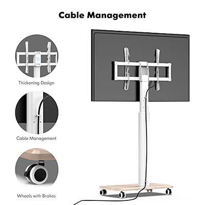  Rfiver Universal Swivel Mobile TV Stand Rolling Cart for 32-75  Inch Flat Screen TV Monitor, Tall TV Stand with Mount and Wheels Portable  for Home Office, Max Vesa 600x400 mm 