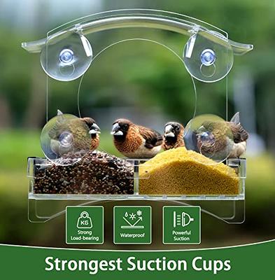 Window Bird Feeders for Outside with Strong Suction Cups Home Bird Feeder, Transparent  Bird House Cat Kids and Elderly Viewing Bird Feeder for Window Perch  (Polyurethane) - Yahoo Shopping