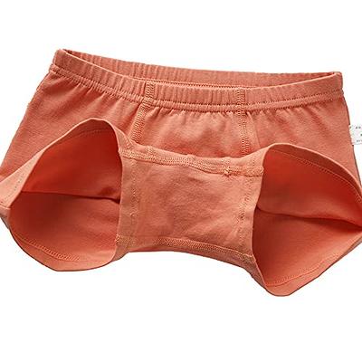 Dinosaur Underwear - Pack of 5