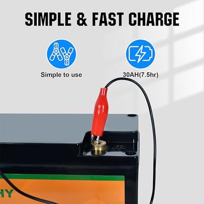 Eco-Worthy 12V 20AH Lithium Battery LiFePO4 Battery Deep Cycle for Outdoor  Camping RV Boat Solar System 