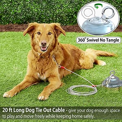 Dog Tie Out Cable for Dogs Outside Up to 125/250lbs,10/20/30/50FT
