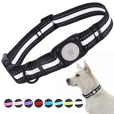 Basic Nylon Dog Collar, Adjustable for Small, Medium, Large pet