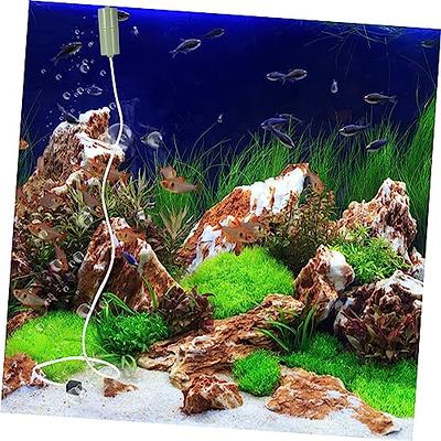 Aquarium Aeration and Oxygenation