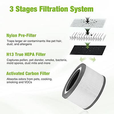  Vista 200 Replacement Filter Compatible for LEVOIT Air