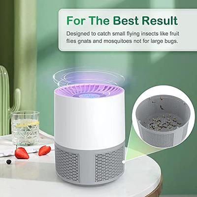 Bug Zapper, Fruit Flies Trap, Electric Mosquito & Fly Zappers/Killer -  Insect Attractant Trap Powerful Little