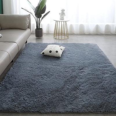 TABAYON Shaggy Grey Rug, 2x3 Area Rugs for Living Room, Anti-Skid Extra  Comfy Fluffy Floor Carpet for Indoor Home Decorative