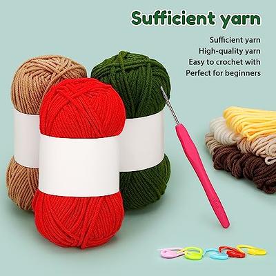  LOKUNN Crochet Kit for Beginners, 6 Pcs Crochet Potted