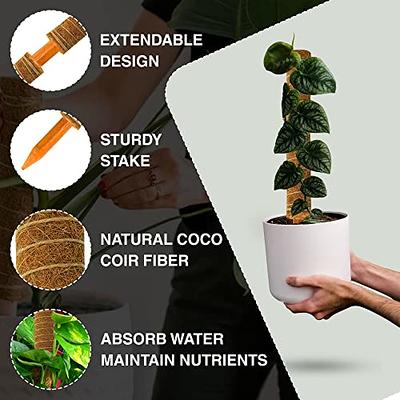 Moss Pole for Plants Monstera - 51.1” Stackable Plant Poles for Potted Plants  Indoor and Outdoor (4 Pcs) – 16.9” Long Natural Coir Moss Sticks with  Garden Twist Ties and Jute Rope - Yahoo Shopping