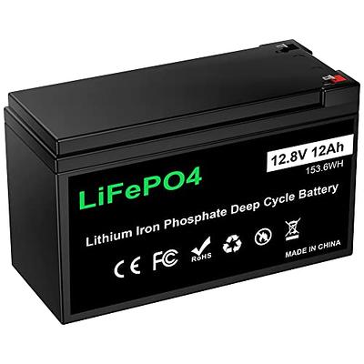 LPFMAX 12V 12Ah LiFePO4 Battery, Deep Cycle Lithium Iron Phosphate Battery  Built-in BMS Protection, 2000-5000 Cylces, 10 Years Lifetime, Perfect for  Kid Scooters, Power Wheels, Fish finder etc… - Yahoo Shopping