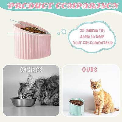 Tilted Cat Food Bowls | Anti Vomiting Raised Cat Bowls | Ergonomic Tilted  Cat Bowl, Elevated Kitten Dish Pet Food And Water Feeding Station for  Indoor