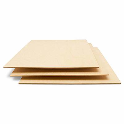 Baltic Birch Plywood, 3 mm 1/8x12x20 Inch Craft Wood, Pack of 20 B/BB Grade