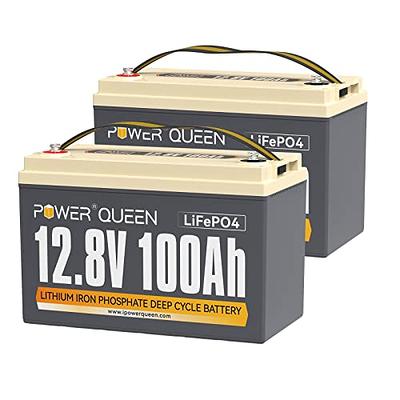 Power Queen 2 Pack 12.8V 100Ah LiFePO4 Battery, Built-in 100A BMS