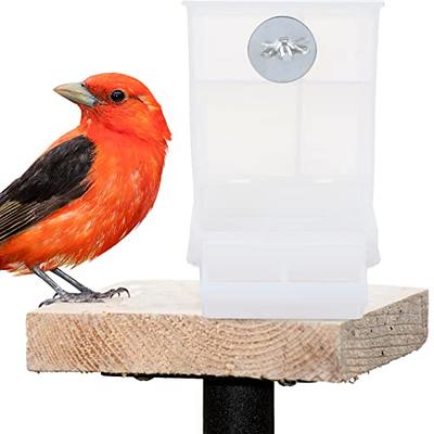 Acrylic Transparent Cage Automatic Bird Seed Feeder with Perch