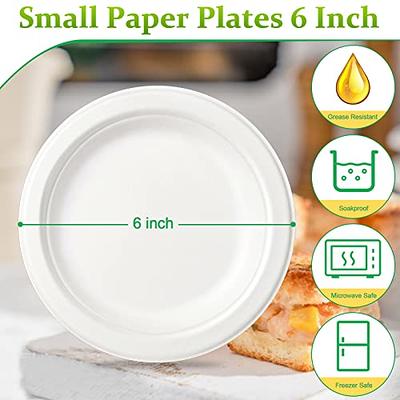 100% Compostable Disposable Paper Plates Bulk [6 125 Pack