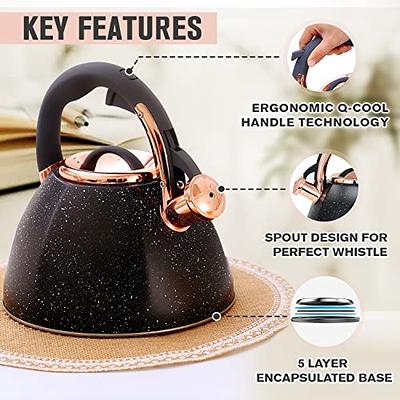 GGC Tea Kettle for Stove Top, Loud Whistling Kettle for Boiling