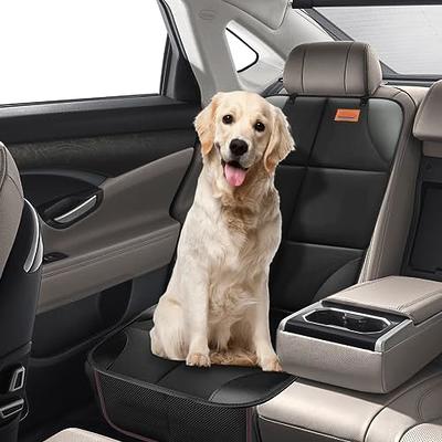 Coverado Car Seat Covers Front, Canvas Universal Seat Covers for Cars,  2-Pack Car Seat Cushions, Auto Seats Protectors for Kids & Dogs, Driver  Seat Covers Fit for Most Vehicles Trucks SUVs/Black 