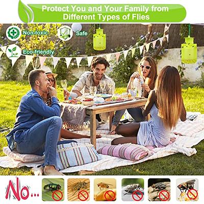 Flies & Bug Window Fly Trap - Indoor / Outdoor Non Toxic Clear Window Fly  Traps 