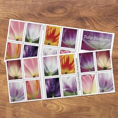 Garden Beauty Forever USPS Postage Stamps Book of 20 US Postal First Class  Wedding Celebration Anniversary Flower Party (20 Stamps)