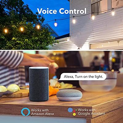 BN-LINK Outdoor Dual Smart WiFi Plug Compatible with Alexa and Google  Assistant