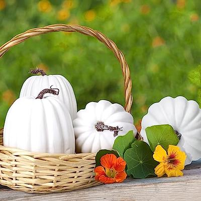 Dandat 4 Pcs Halloween Thanksgiving 8.5 in Large White Foam Pumpkins Jumbo Plastic  Pumpkin Decorations Giant White Fake Artificial Pumpkin Decor for Fall  Halloween Decoration Crafts - Yahoo Shopping