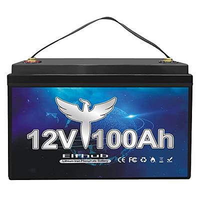 Redodo 12V 200Ah LiFePO4 Lithium Battery (Pack 4) with 100A BMS, 4000-15000  Deep Cycles & 10-Year Lifetime, Perfect for RV, Camping, Boats, Trolling  Motor, Solar Home Storage, etc - Yahoo Shopping