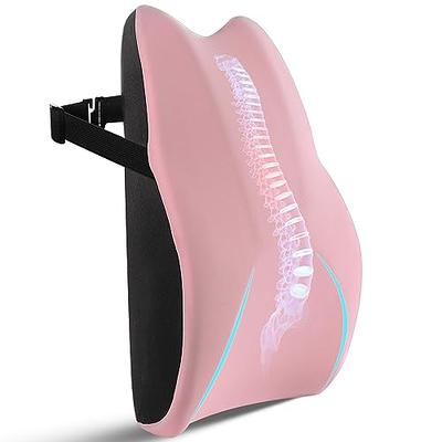 Lumbar Cushion Office Back Support - Yahoo Shopping