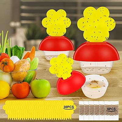 Trappify Sticky Gnat Traps for House Indoor - Yellow Fruit Fly Traps for  Indoors/Outdoor Plant - Insect Catcher White Flies, Mosquitos, Fungus Gnat