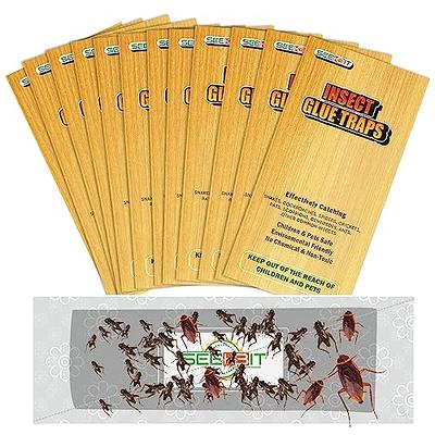 12 Max-Catch Glue Traps Sticky Board Catch Mice Spiders Insects Really  Sticky!