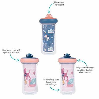 Insulated Hard Spout Sippy Cup (2 Pack)