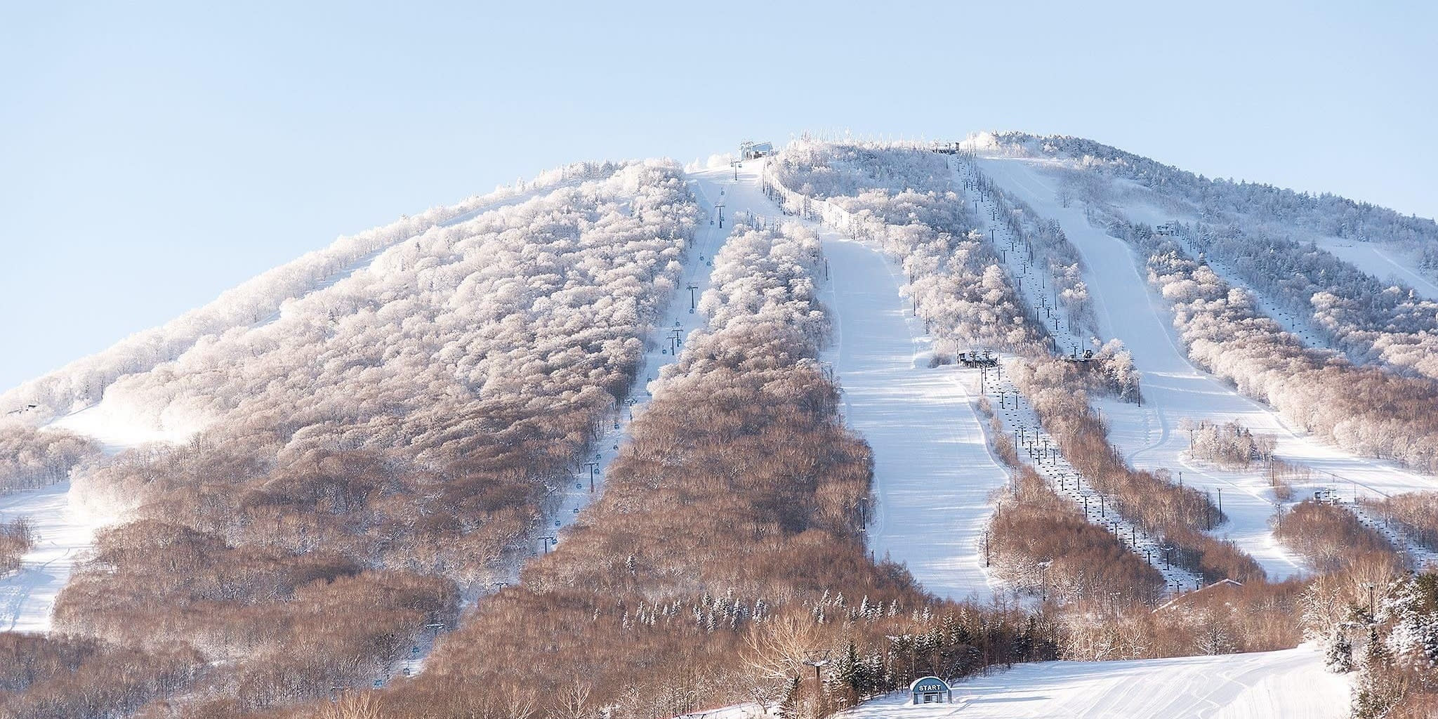 平價優質雪衣首選!!