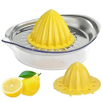 Rise by Dash Blue Plastic 10 oz Citrus Juicer - Yahoo Shopping