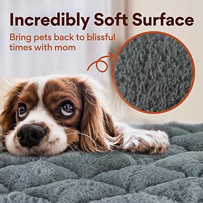 Mora Pets Ultra Soft Pet (Dog/Cat) Bed Mat with Cute Prints | Reversible Fleece Dog Crate Kennel Pad | Machine Washable Pet