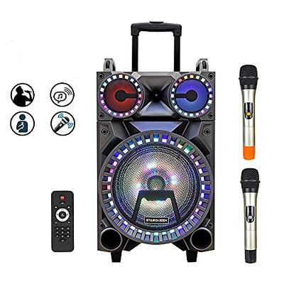 Karaoke Machine for Adults and Kids with 2 Microphones, Streams