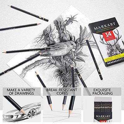Professional Drawing Sketching Pencil Set - 12 Pieces Art Drawing  Pencils(8B - 2H), Ideal for Drawing Art, Sketching, Shading, for Beginners  & Pro