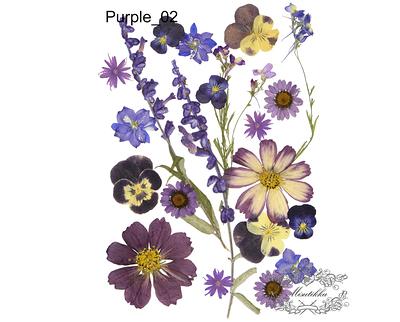 20 Pc Sample Pack Pressed Dried Flowers Mixed, Purple Assorted, Preserved  Flowers, Real Flat - Yahoo Shopping