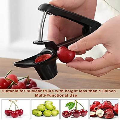 2 In1 Red Date Cherry Fruit Pitter Remover Strawberry Slicer