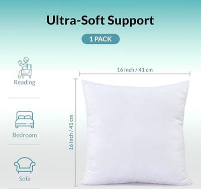 Pillow Insert 16x16 Decorative Sham Couch Cushion White Polyester Form 16  inch