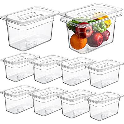 10 Pack Clear Food Pans with Lid Acrylic Transparent Food Pan