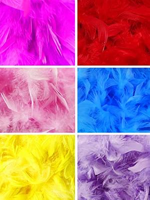  Colorful Feather Boas, 6.6ft Feather Boa for Women for Dancing  Wedding Party Cosplay Halloween,with Heart Rimless Sunglasses : Clothing,  Shoes & Jewelry