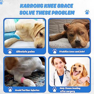 Dog Knee Brace for Torn Hind Leg or Back Leg, Adjustable Dog Leg Brace, Dog  Hip Support Brace for Cruciate Ligament Injury Joint Pain Muscle Soreness,  Better Recovery Brace - Yahoo Shopping