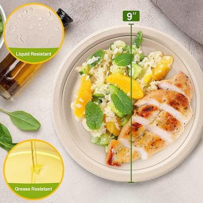  200 Pack Disposable Paper Plates,Eco-friendly Biodegradable  Plates,100% Compostable Heavy-Duty Paper Plates,Disposable Sugarcane Plates  Biodegradable Plates,Bulk Paper Plates for Party, Picnic (7in) : Health &  Household