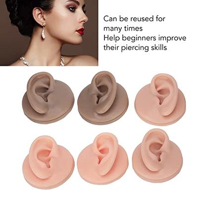 Silicone Tongue Section Model Piercing Training Jewellery Display  Acupuncture 