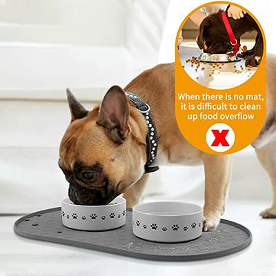 Silicone Pet Placemat With Lip 