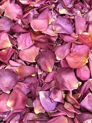 Vintage Twist Rose Petals. 100 Cups. Real Wedding Petals Craft Supplies. Dried  Flower Confetti. Decoration Usa - Yahoo Shopping