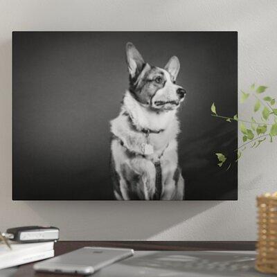 The Dog Dicer | Photographic Print